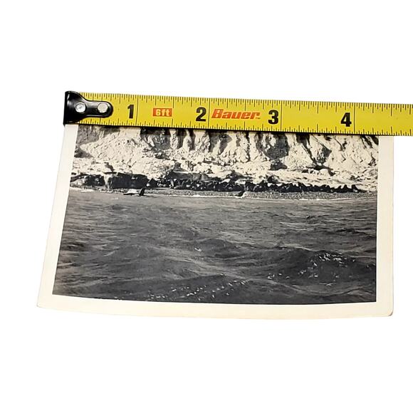Vtg B&W Photo 1940s Found Seal Island Seals on Rocks Ocean Snapshot Animalcore - Picture 4 of 4